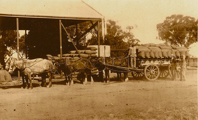 1924 auto header
