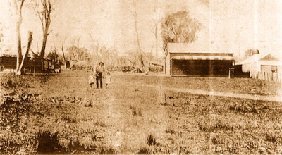 1914 header